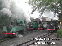 Les 4 locos vapeur sont de sortie !