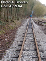 Tamping of the track
