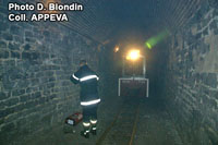 Tunnel evacuation test