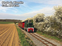 First train and trees in bloom